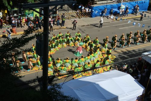 Paraad
